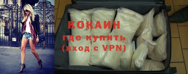 СК Ельня