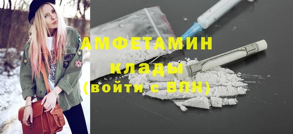 СК Ельня