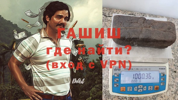 СК Ельня