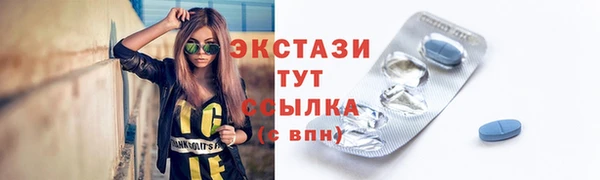 СК Ельня