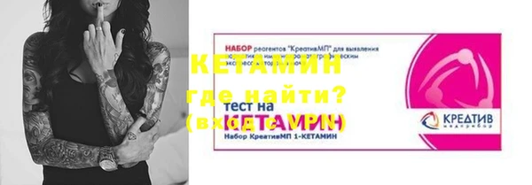 СК Ельня