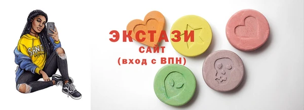 СК Ельня