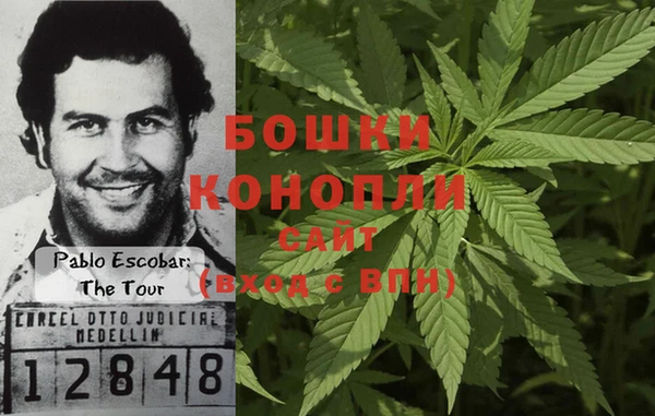 бошки Протвино