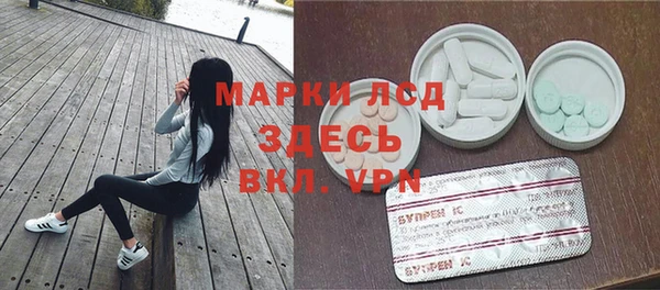 СК Ельня