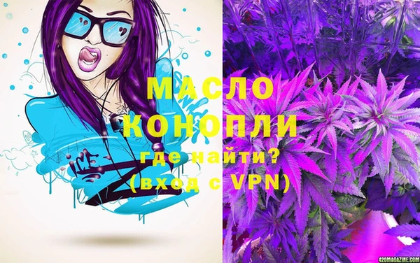 СК Ельня
