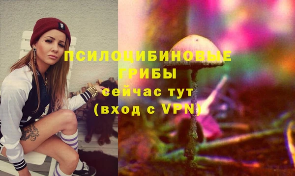СК Ельня