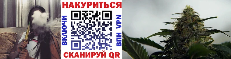 где продают   Зеленоградск  Бошки марихуана марихуана 